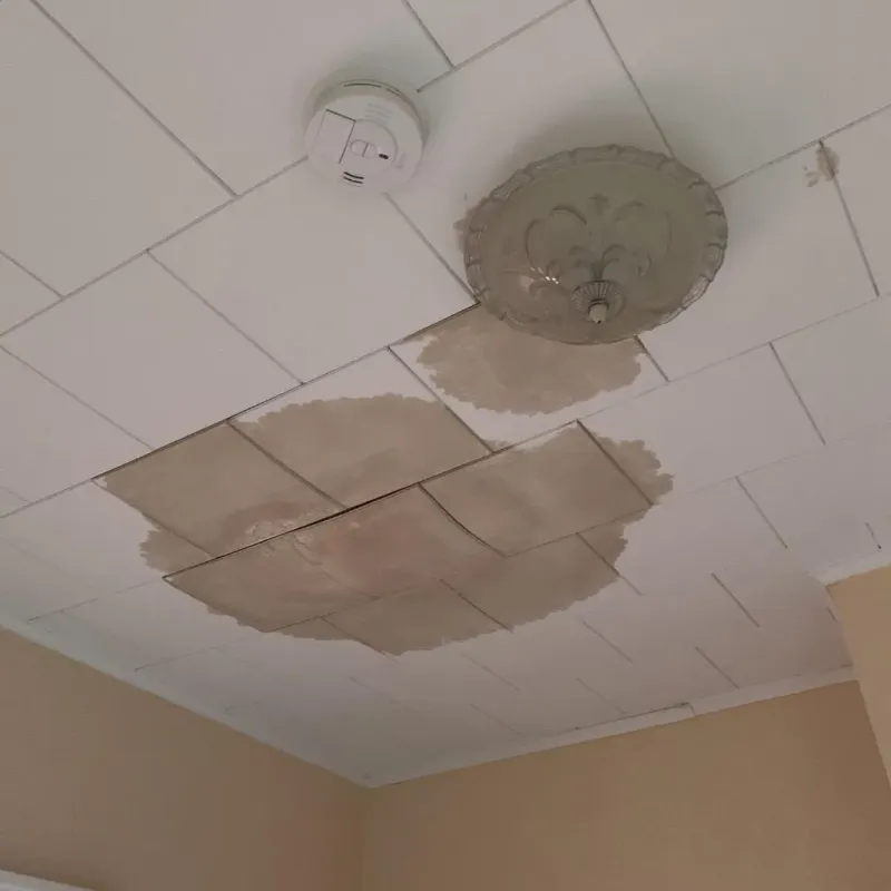Ceiling Water Damage Repair in Kossuth County, IA