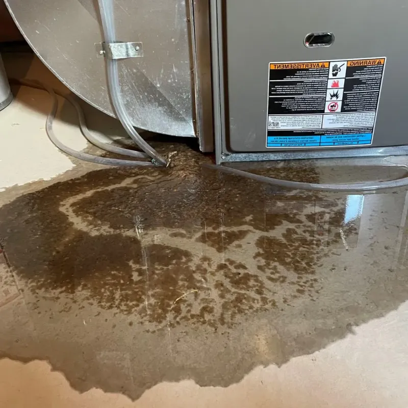 Pipe Burst and Leak Restoration in Kossuth County, IA