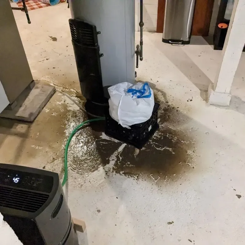 Sewage Backup Cleanup Service in Kossuth County, IA